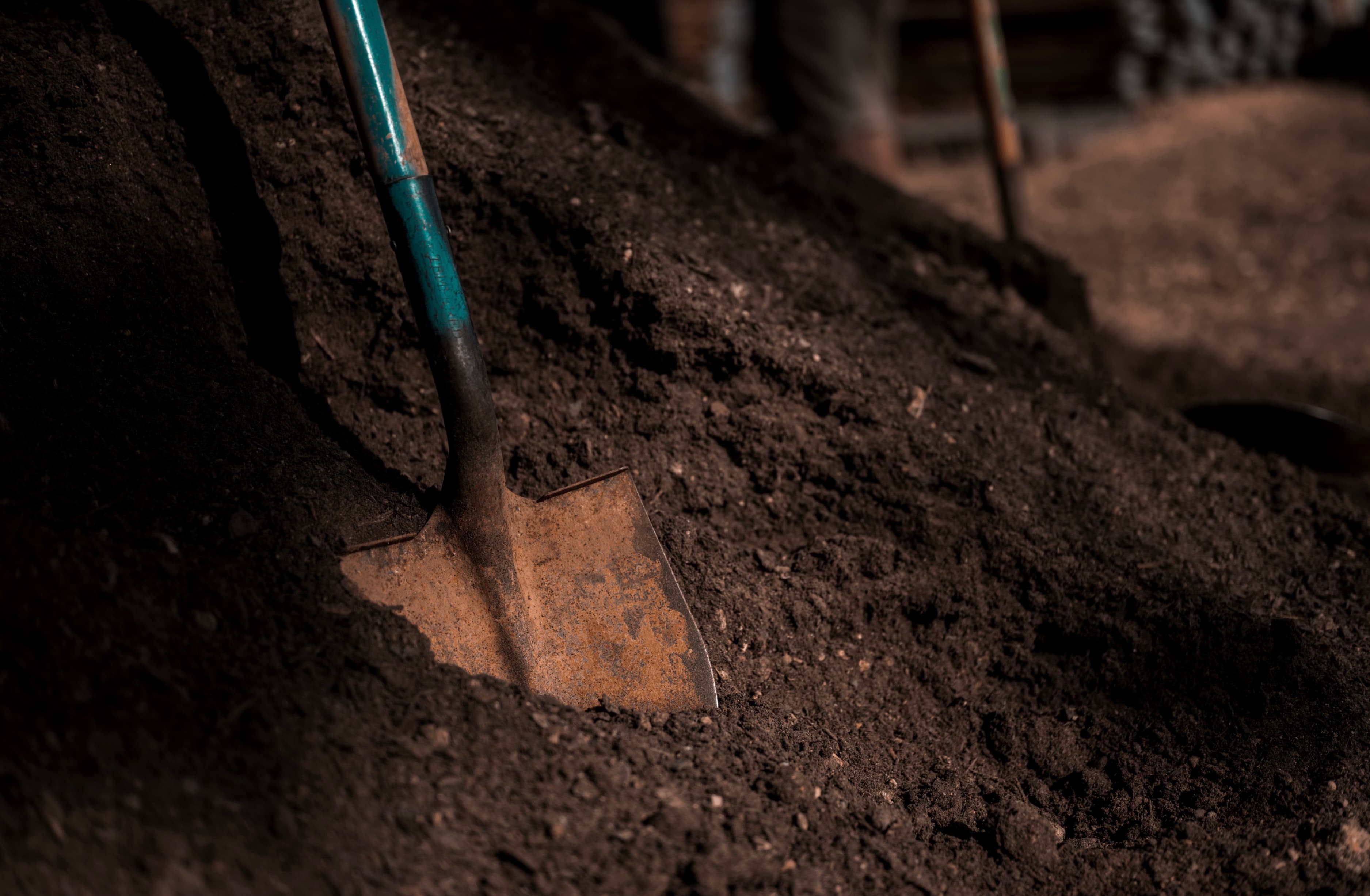 Rich dark topsoil close-up showing quality of material